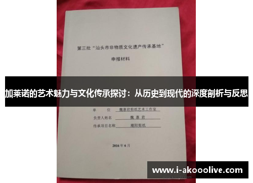 加莱诺的艺术魅力与文化传承探讨：从历史到现代的深度剖析与反思